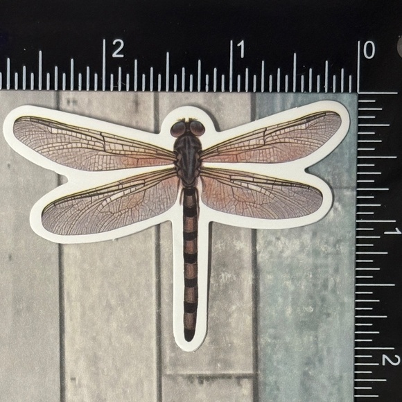 🌀10/$10🌀 Dragonfly Reusable Waterproof Sticker Decal - Picture 1 of 1